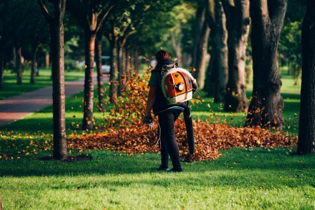 arborist sydney