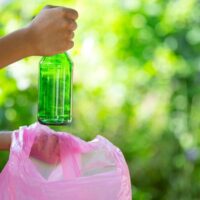 How to Choose a Green Waste Removal Company That Fits Your Needs