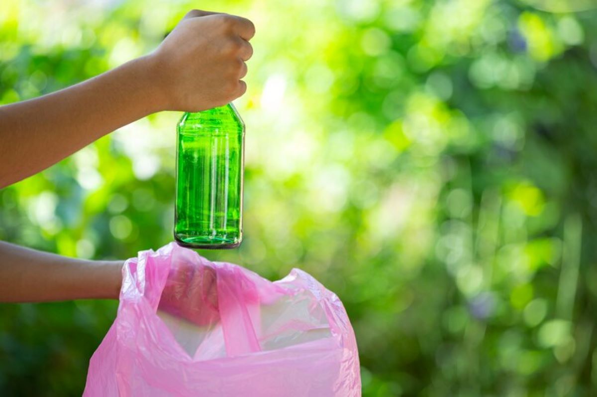 green waste removal company