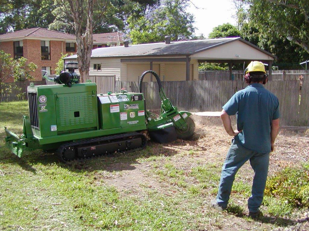 What Makes Local Experts the Go-To for Tree Lopping Services in Sydney