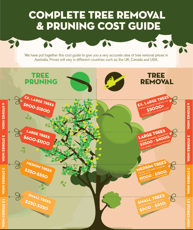 3 Essential Techniques for Safe Tree Trimming