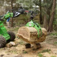 When to Book Stump Grinding Services Near Me After Tree Removal